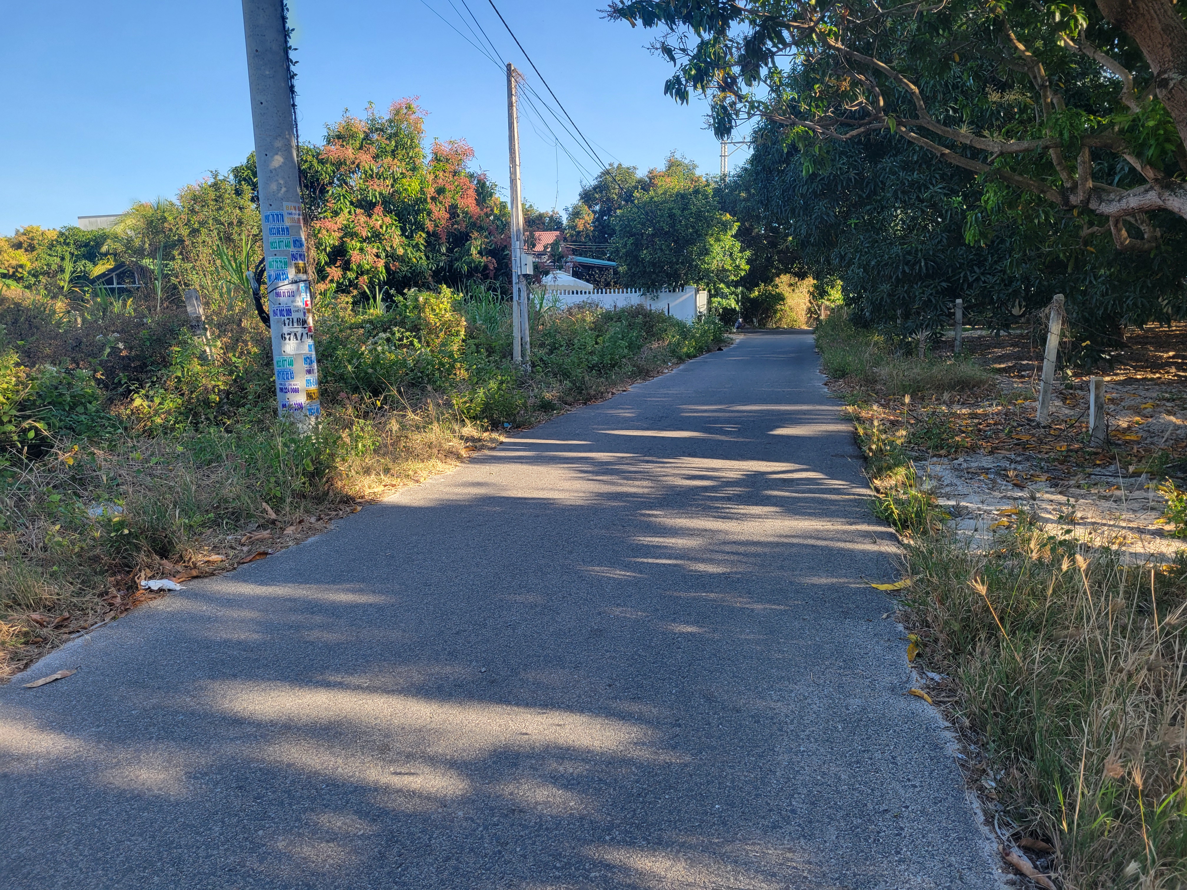 Bán đất thổ cư Cam Hải Tây Cam Lâm phía Đầm 90m² giá 950 triệu. Gọi ngay 0969 876 162